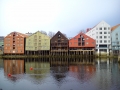 Trondheim 29